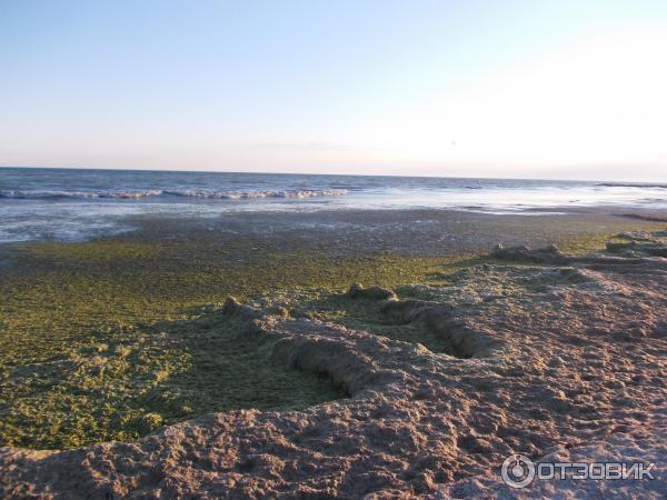 Отдых на Черном море, Херсонская обл. пос. Железный порт фото