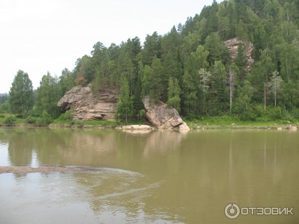 Отдых на реке Лебедь Горный Алтай фото