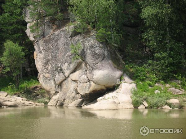 Отдых на реке Лебедь Горный Алтай фото