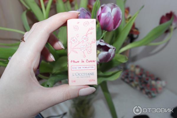 Туалетная вода Loccitane Cherry Blossom фото