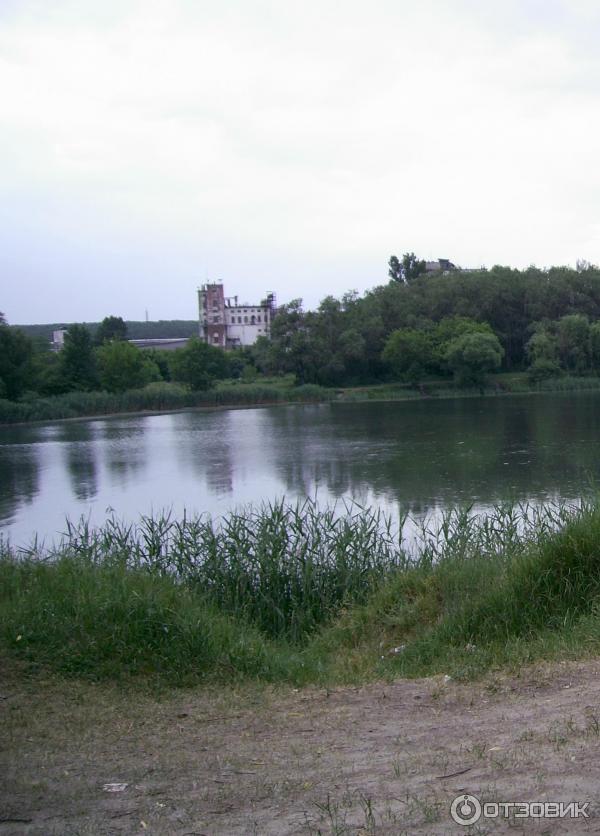 Купить Дом Веселая Лопань Белгородская