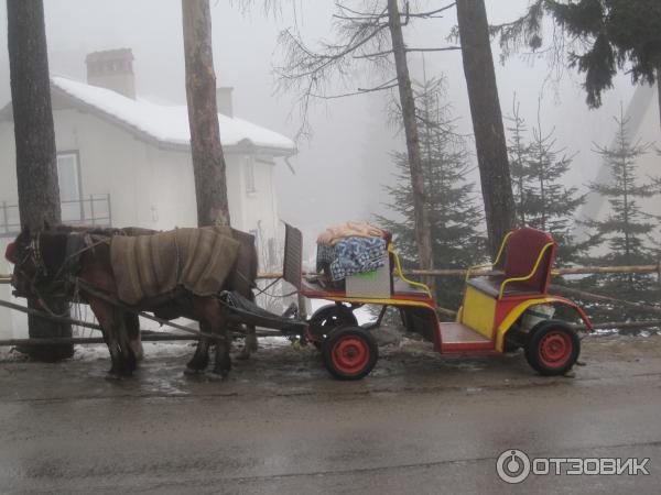 гужевой транспорт