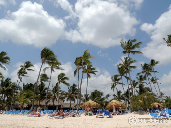 Отель Occidental Grand Punta Cana 4* фото