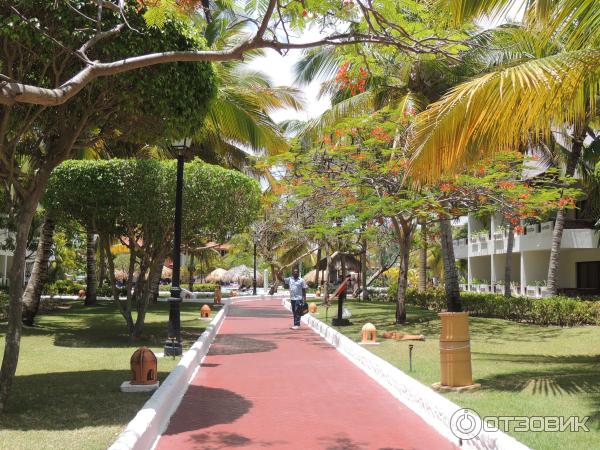 Отель Occidental Grand Punta Cana 4* (Доминикана, Пунта Кана) фото