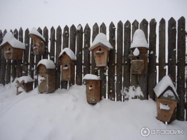 Экскурсия в терем Снегурочки (Россия, Кострома) фото