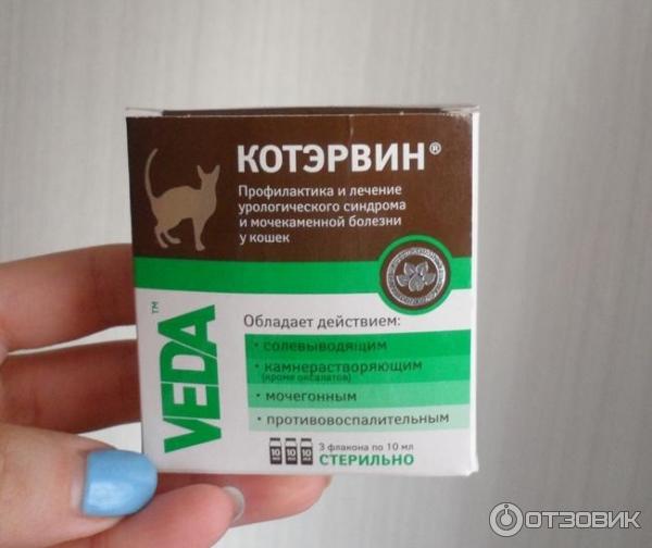 Купить котэрвин для кошек