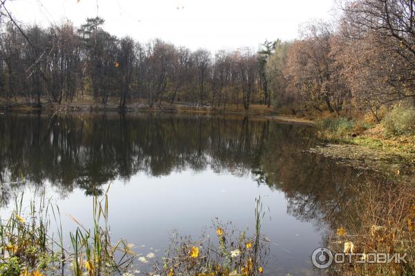 Усадьба Быково (Россия, Московская область) фото