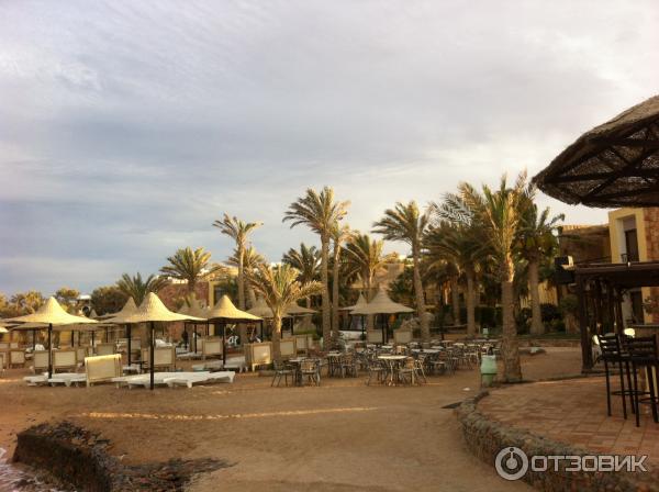 Отель Jewels Sahara Boutique Resort 4* (Египет, Хургада) фото