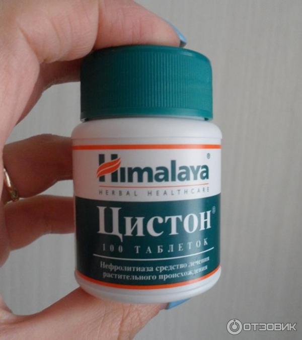 Цистон для кошек