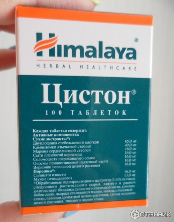 Цистон для кошек