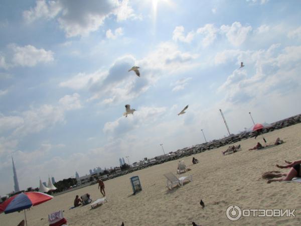 Пляж Jumeirah Open Beach (ОАЭ, Дубаи) фото