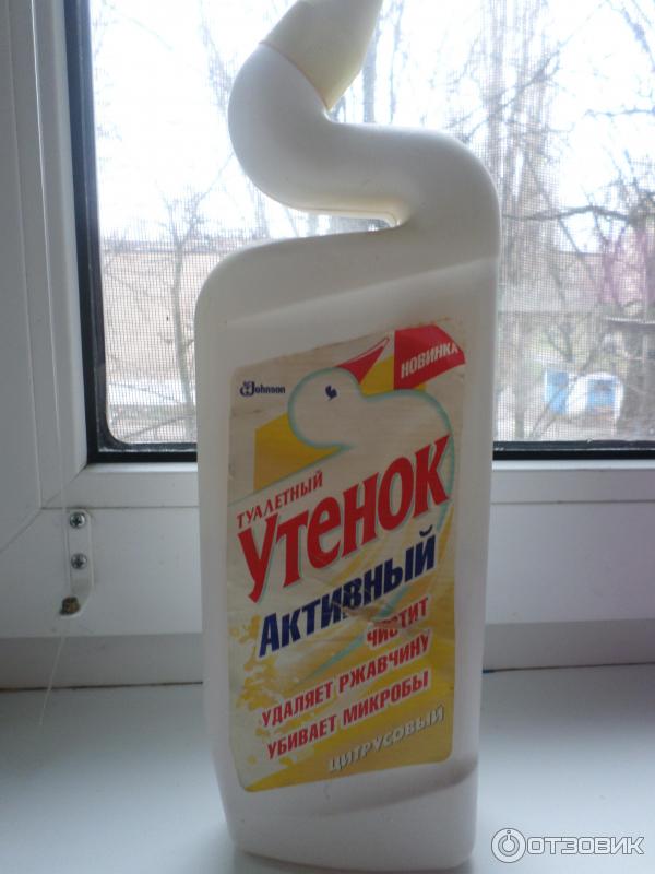 утенок