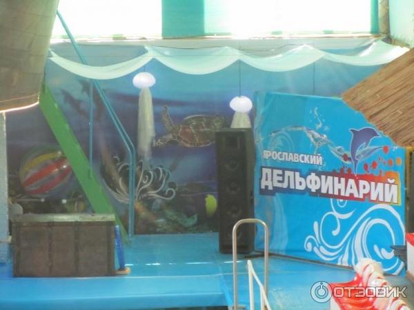 Спа дельфинарий ярославль. Дельфинарий Ярославль Дубки. Поселок Дубки дельфинарий. Дельфинарий Ярославль спа. Ярославская область дельфинарий отель.