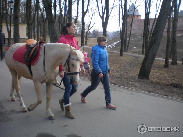 Отдых в г. Великий Новгород (Россия) фото