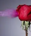 Баллистика