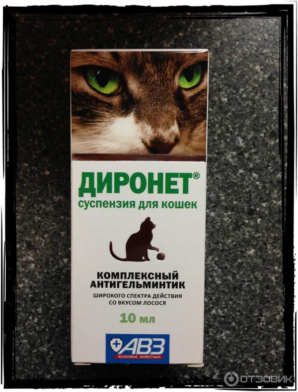 Диронет для кошек капли инструкция по применению. Диронет 200 для кошек. Суспензия АВЗ диронет. Диронет Джуниор суспензия для котят и щенков со вкусом мяса, 15мл. Диронет суспензия для котят.