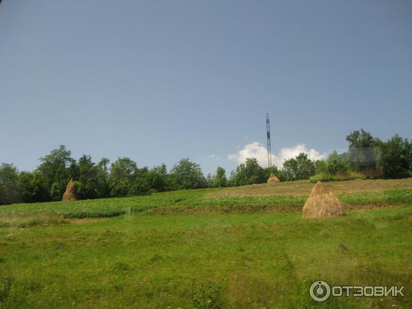 Экскурсия Боржавские полонины (Украина, Закарпатская область) фото