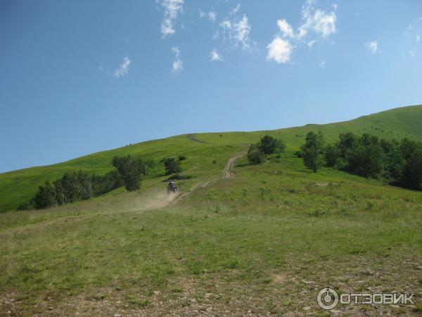 Экскурсия Боржавские полонины (Украина, Закарпатская область) фото