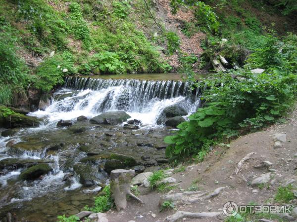 Экскурсия Боржавские полонины (Украина, Закарпатская область) фото