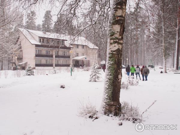 Турбаза Радуга (Россия, Лен. область, Приозерский район, поселок Мичуринское) фото