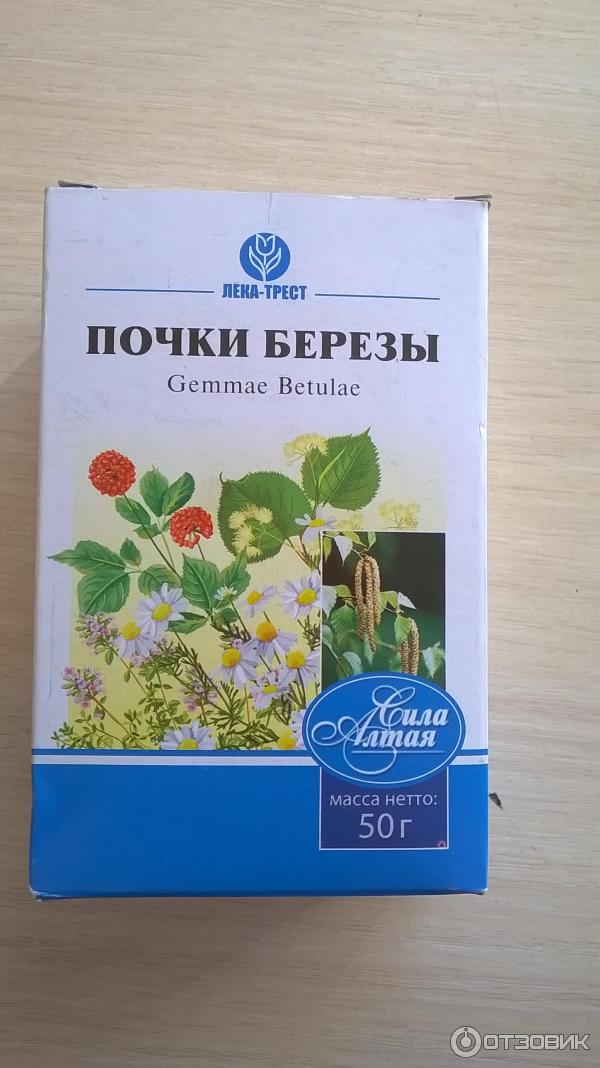 Почки березы отзывы. Березовые почки в аптеке. Почки березы отзывы. Крем на березовых почках. Березовые почки, 100 гр.