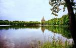 Собор Петра и Павла в Петергофе (Россия, Санкт-Петербург) фото