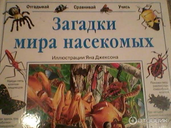 Тайны миров отзывы. Загадки истории Росмэн. Мир насекомых книга.