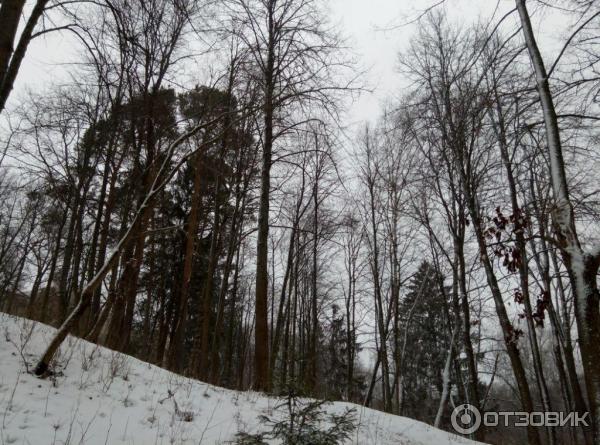 Парк-отель Абрамцево (Россия, Московская область) фото