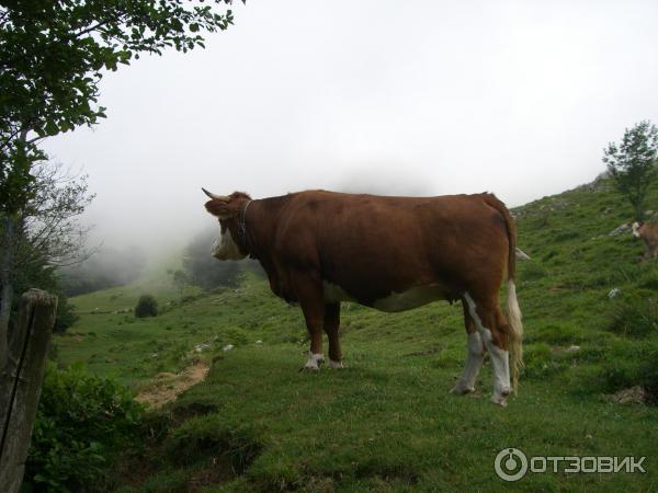 Отдых в Апуанских Альпах (Италия, Тоскана) фото