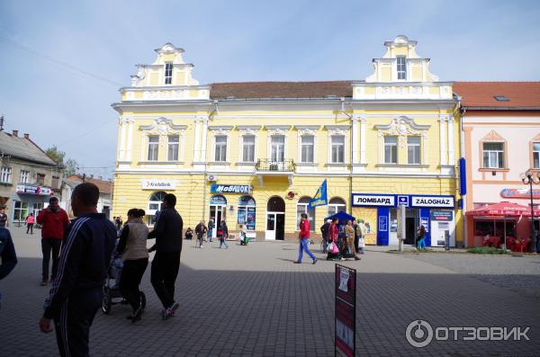 Город Берегово (Украина, Закарпатская область) фото