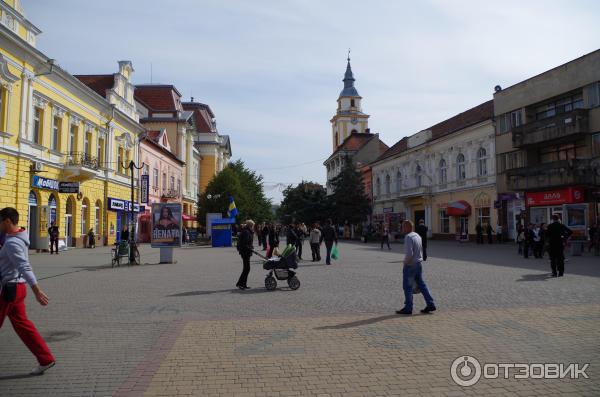 Город Берегово (Украина, Закарпатская область) фото