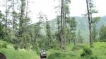 Мультинские озера (Россия, Алтай) фото