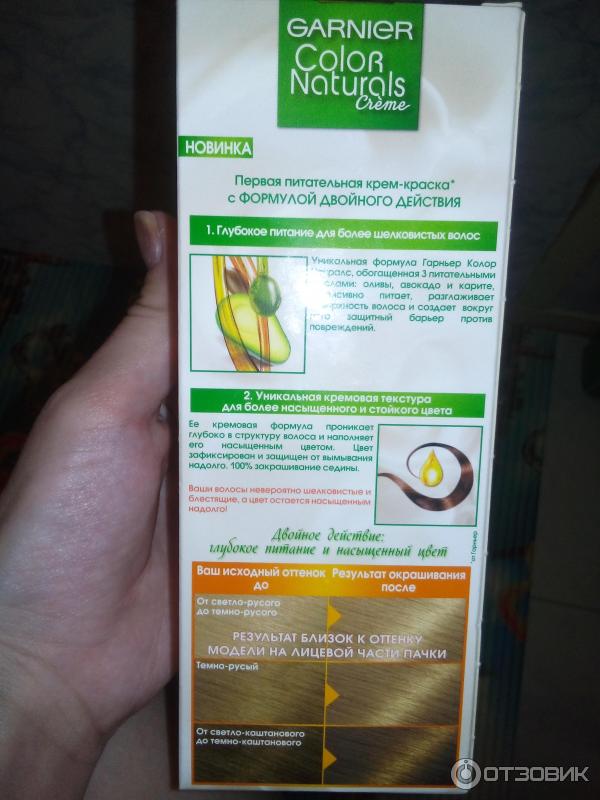 Garnier Краска Ольха Купить