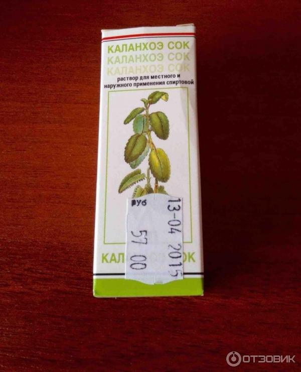 Сок Каланхоэ В Нос Купить Аптеке
