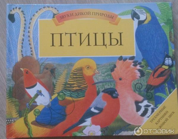 Книга Птицы. Книга-панорама - Вэл Дейвис фото