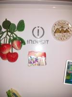 Холодильник Indesit BIA 18 фото