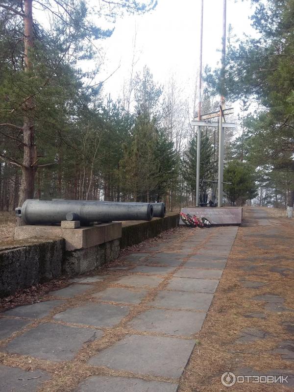 Форт Красная Горка Ленинградская Область Фото