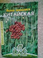 Купить Семена Вигны В Интернет Магазине