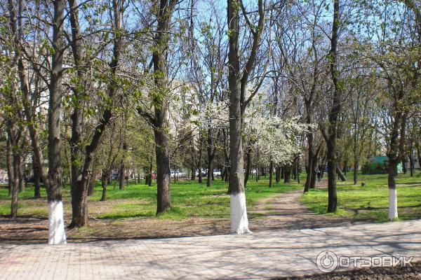 Город Азов (Россия, Ростовская область) фото