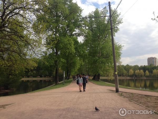 Терлецкий лесопарк (Россия, Москва) фото