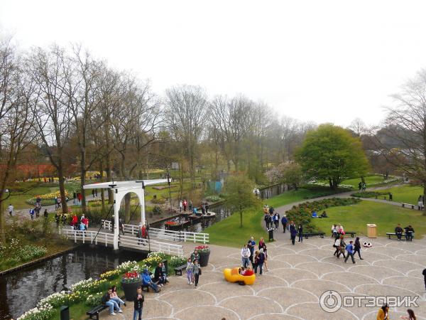 Парк цветов Keukenhof (Нидерланды, Лиссе) фото