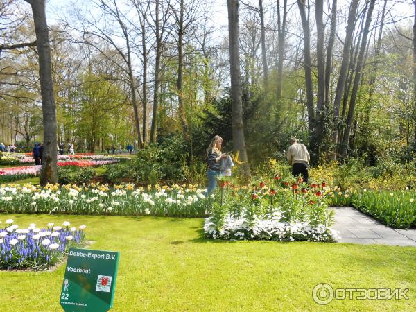 Парк цветов Keukenhof (Нидерланды, Лиссе) фото