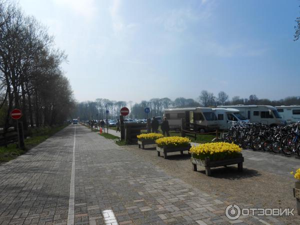 Парк цветов Keukenhof (Нидерланды, Лиссе) фото