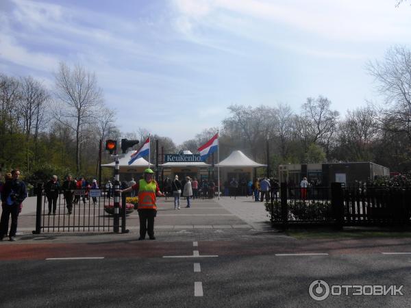 Парк цветов Keukenhof (Нидерланды, Лиссе) фото