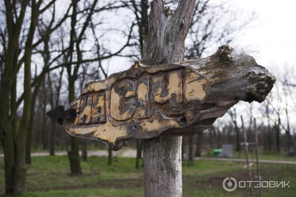 Национальный заповедник Хортица (Украина, Запорожье) фото