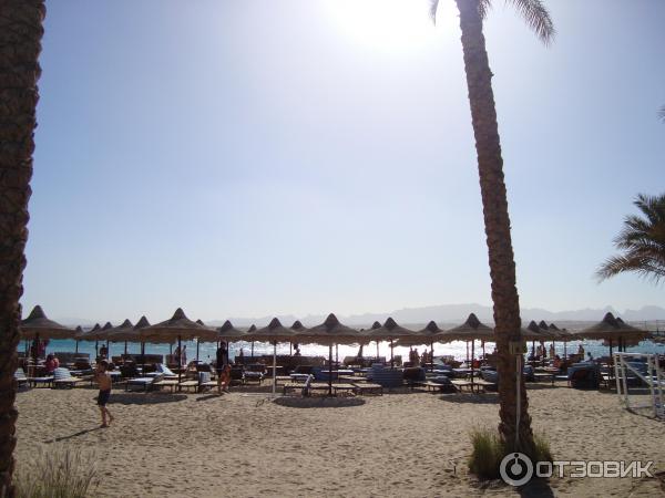 пляж Dessole Sahl Hasheesh Resort 5