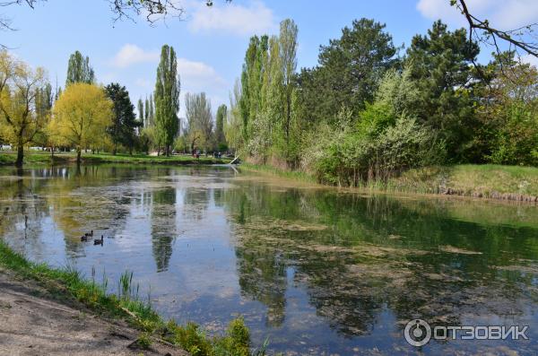 Парк гагарина симферополь фото Отзыв о Парк имени Ю. А. Гагарина (Крым, Симферополь) Масса позитивных воспомина