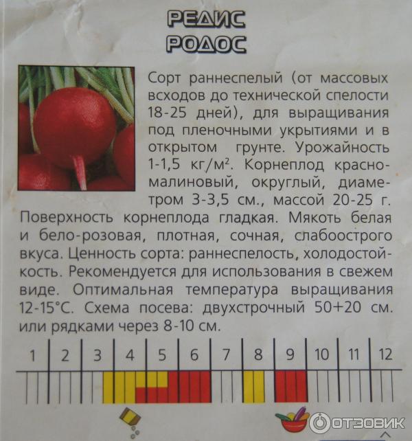 Лучшие сорта редиса