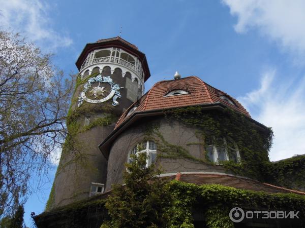 Отдых в г. Светлогорск (Россия, Калининградская область) фото