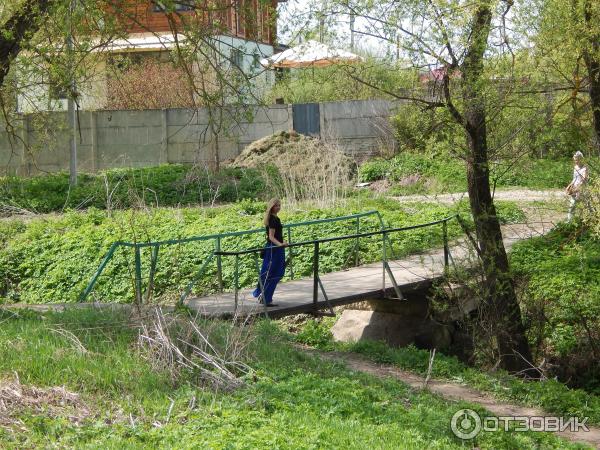 Город Таруса (Россия, Калужская область) фото